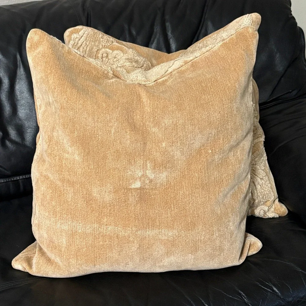 Pottery Barn Natalia Set 2 Chenille Damask 22x22 Pillow Covers Tan Gold Luxury